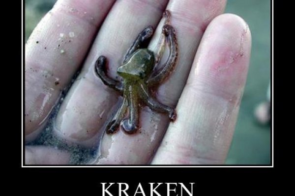 Кракен нарколог